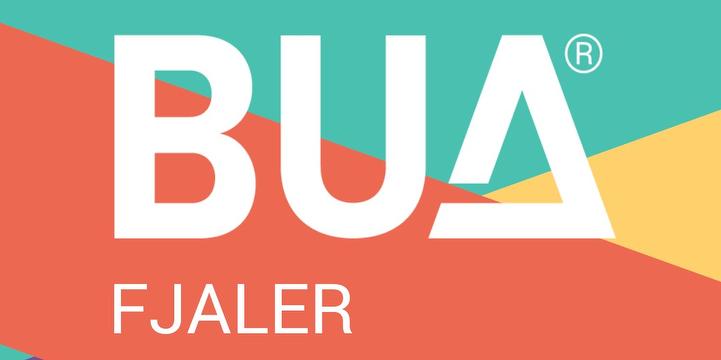 Bilde/illustrasjon for BUA BUA