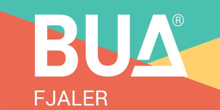 Bilde/illustrasjon for BUA BUA